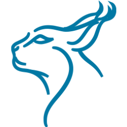 Caracal logo