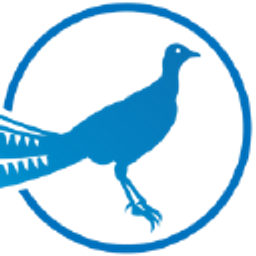 Liarbird logo
