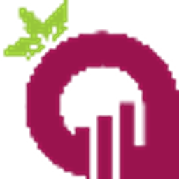 Radish Plan logo