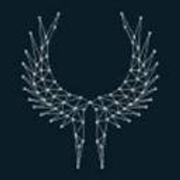 VALKYRIE SCIENCES HOLDING logo